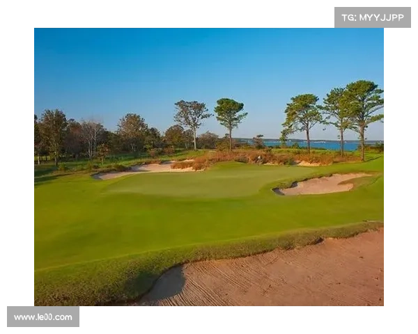 掌握莫塔中场角色的五大关键要点助你成为球场大师