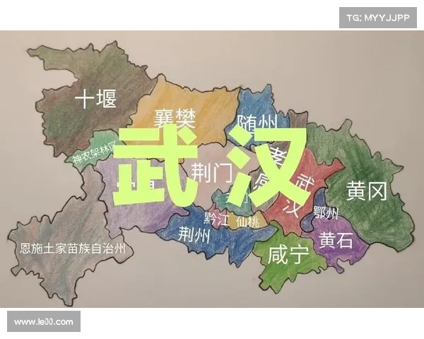 如何全面分析武汉长江与武汉三镇比赛中的关键表现与战术布局